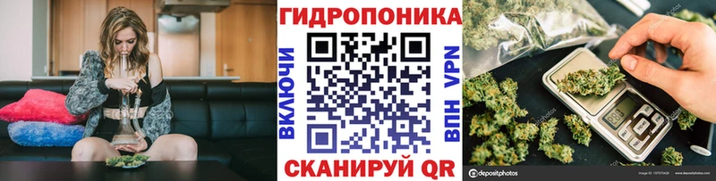 Канабис конопля что такое наркотик МЕГА ССЫЛКА Себеж